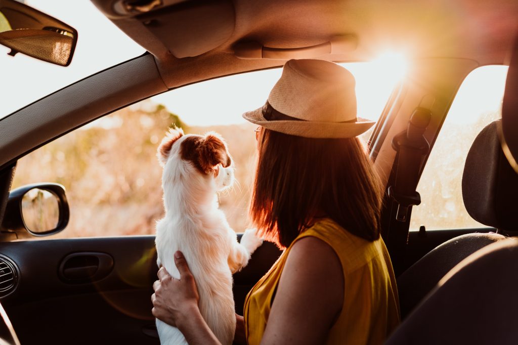 właściciel psa i zwierzęcia patrzącego przez okno w samochodzie